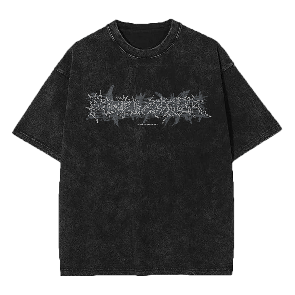 Ascendant acid washed vintage oversized streetwear tee front view by Pink Matter