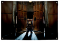 Late Registration Kanye West tapestry wall flag by Pink Matter