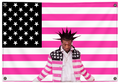 Pink Tape Lil Uzi Vert tapestry wall flag by Pink Matter