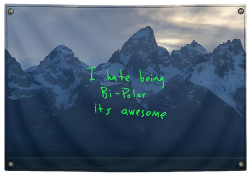 Kanye West Ye album wall tapestry flag hip hop decor Pinkmatter